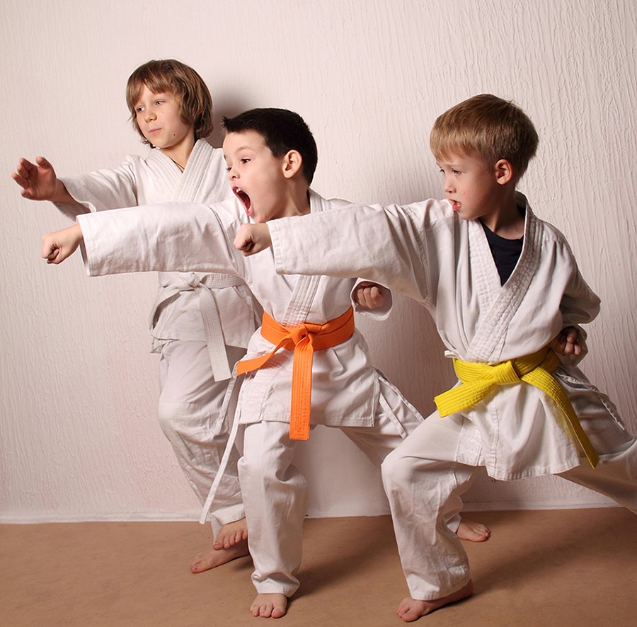 Karate The winner school